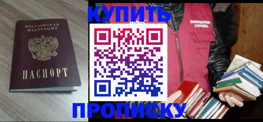 прописка 2025 в Жукове